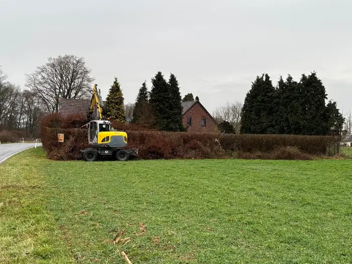 Mobilbagger beim Rückschnitt einer hohen Hecke auf einer Wiese