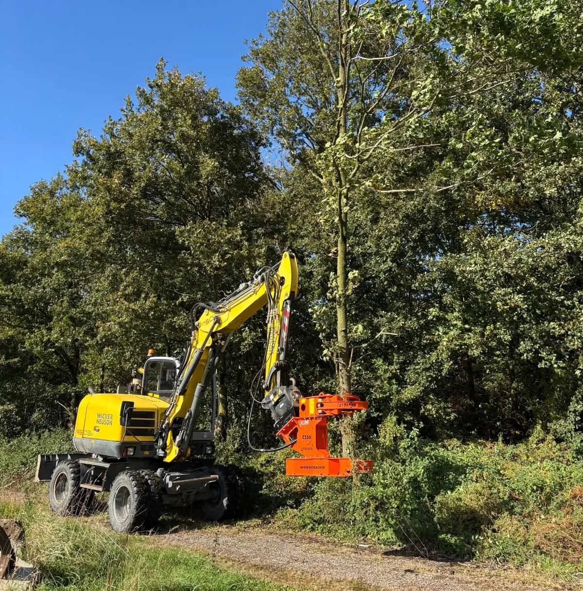 Mobilbagger mit Fällgreifer beim Fällen eines Baumes am Waldrand